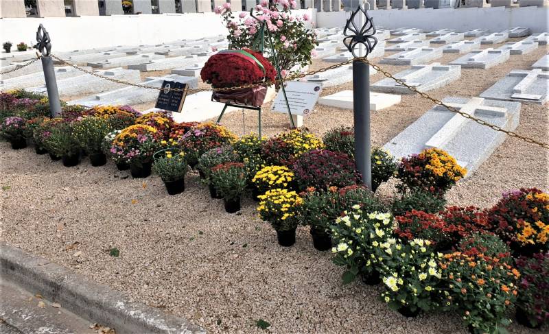 Organisation d'une cérémonie militaire au Cimetière des Passons à Aubagne